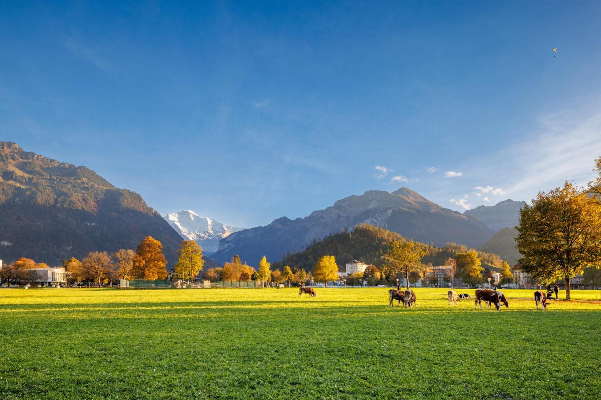 Hapimag Ferienwohnungen Interlaken Exterior photo